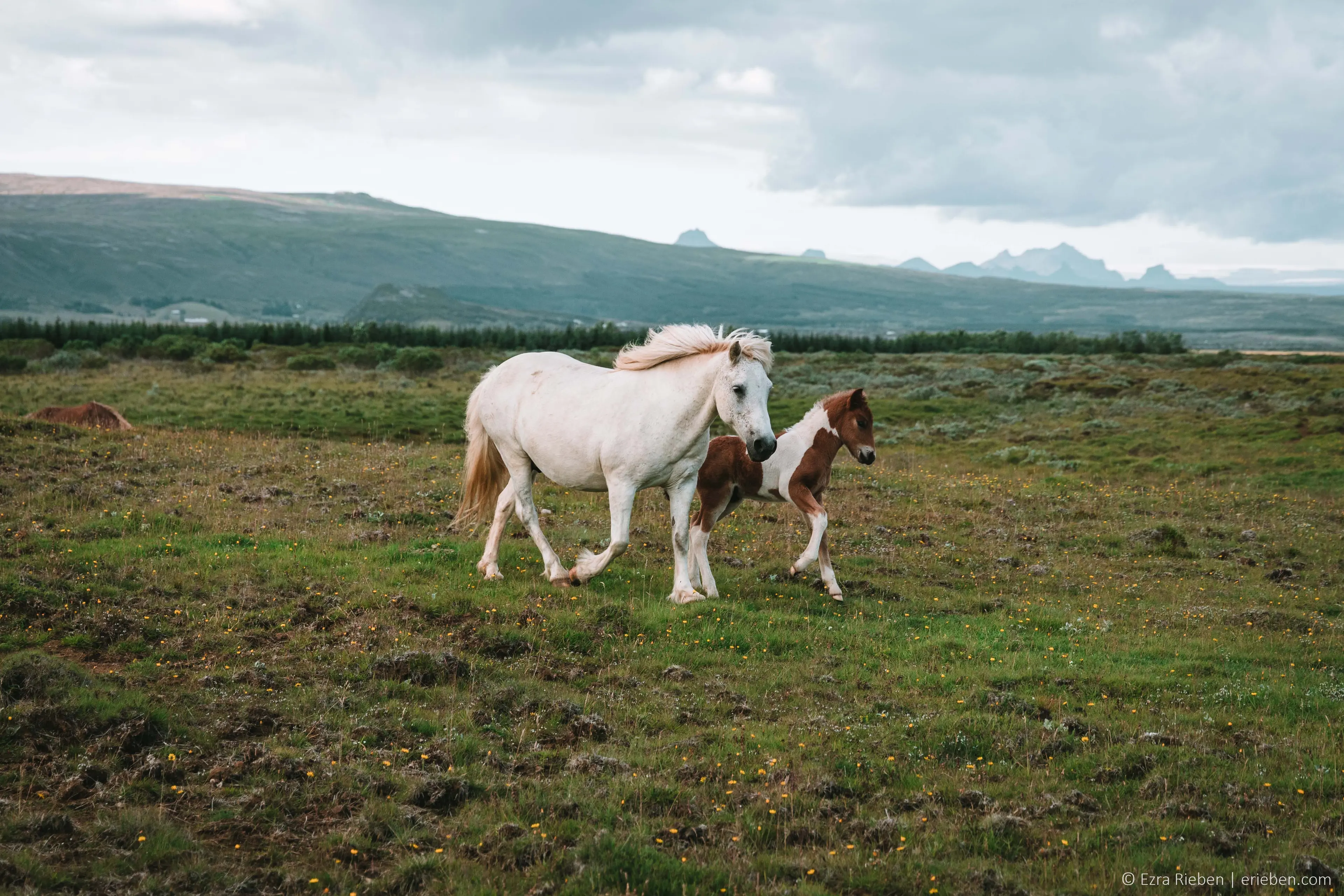 Gallery image Iceland 2023 2