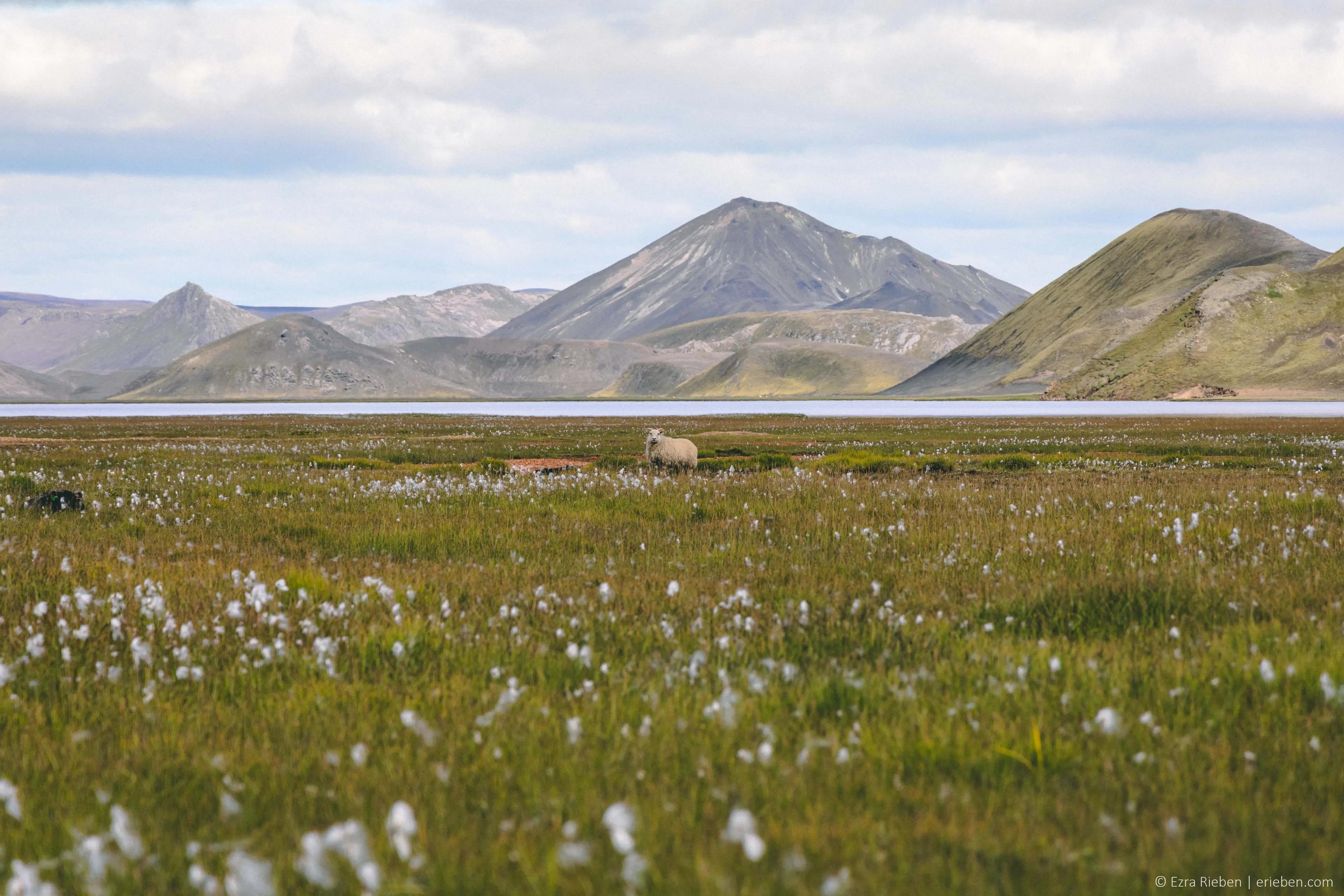 Gallery image Iceland 2023 6